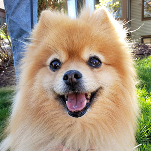 Fundraising Page: Cheryl Rice